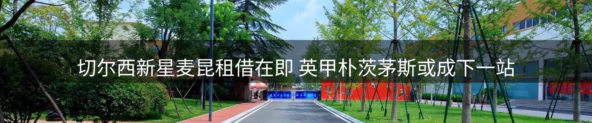 平台简报