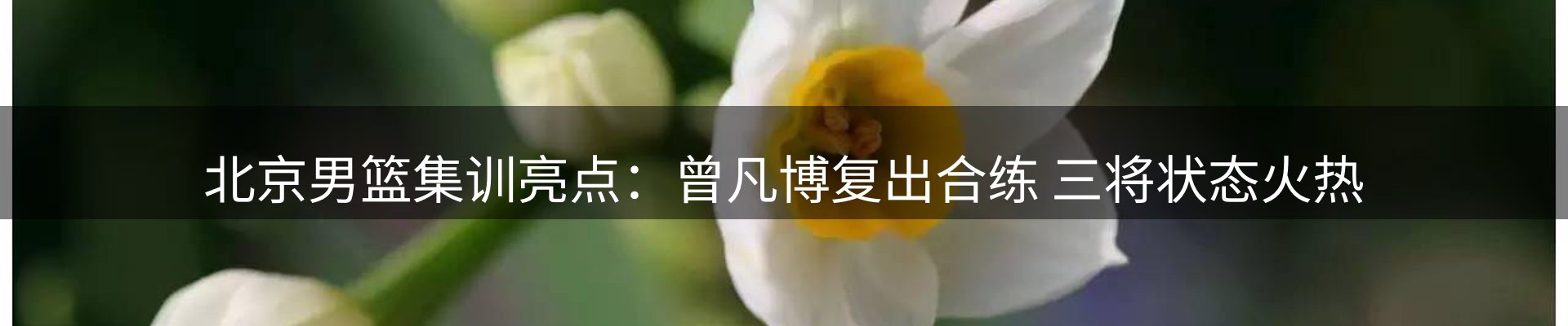 平台简报