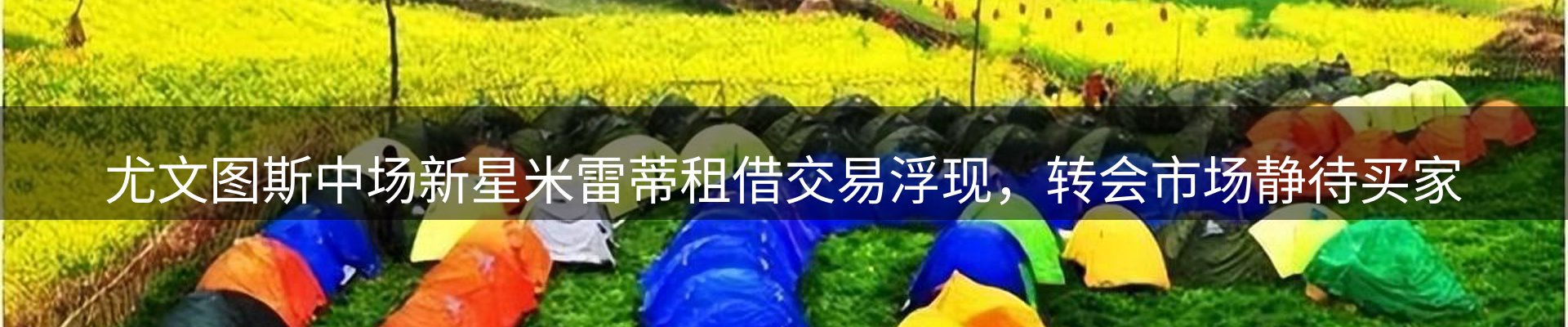 平台简报