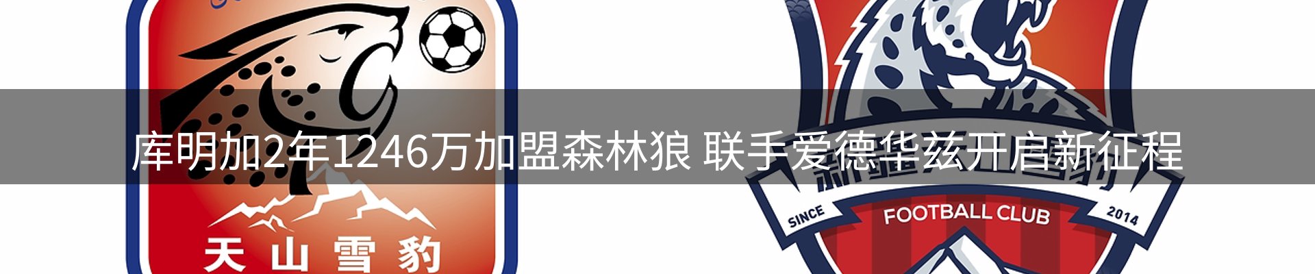 平台简报