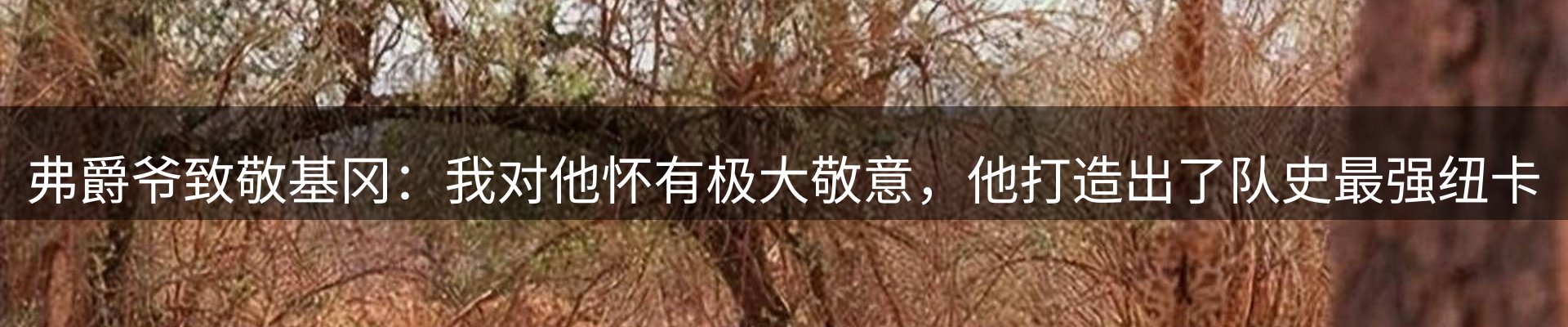 最新资讯