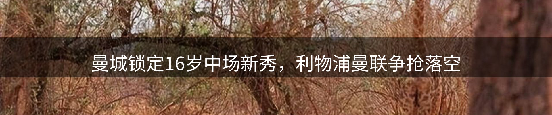 平台简报