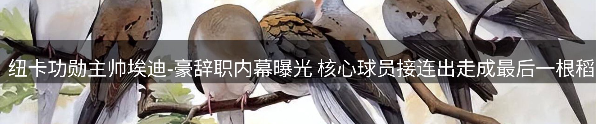 最新资讯