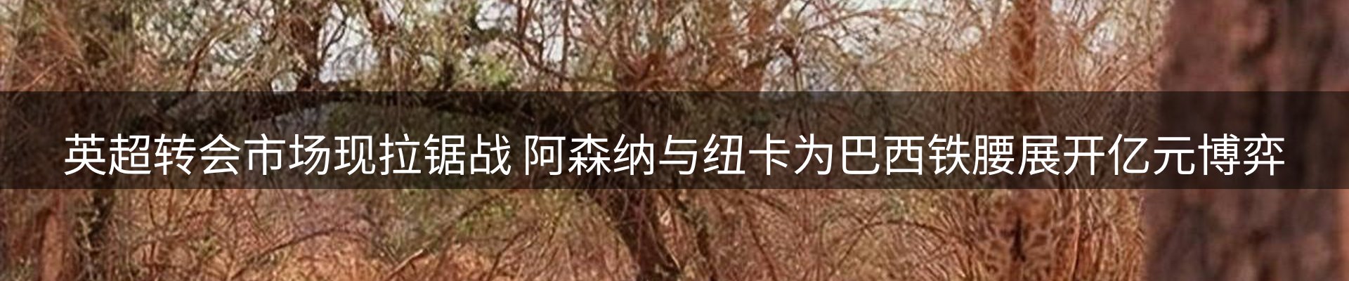 最新资讯